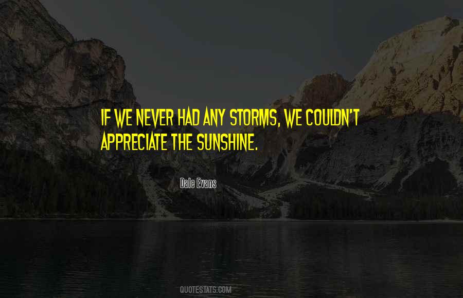 Storm Sunshine Quotes #945608