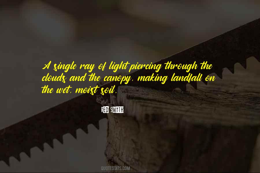 One Ray Of Light Quotes #1659606