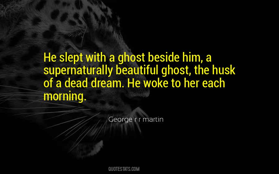 A Beautiful Dream Quotes #1214030