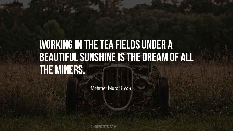 A Beautiful Dream Quotes #1303517