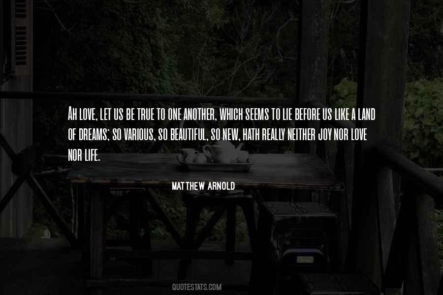 A Beautiful Dream Quotes #164721