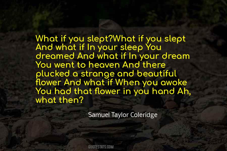 A Beautiful Dream Quotes #261256