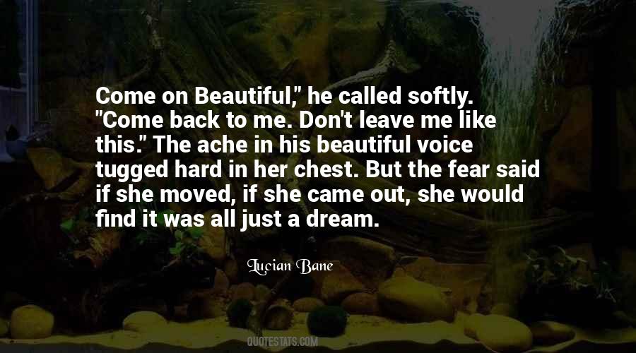 A Beautiful Dream Quotes #546811