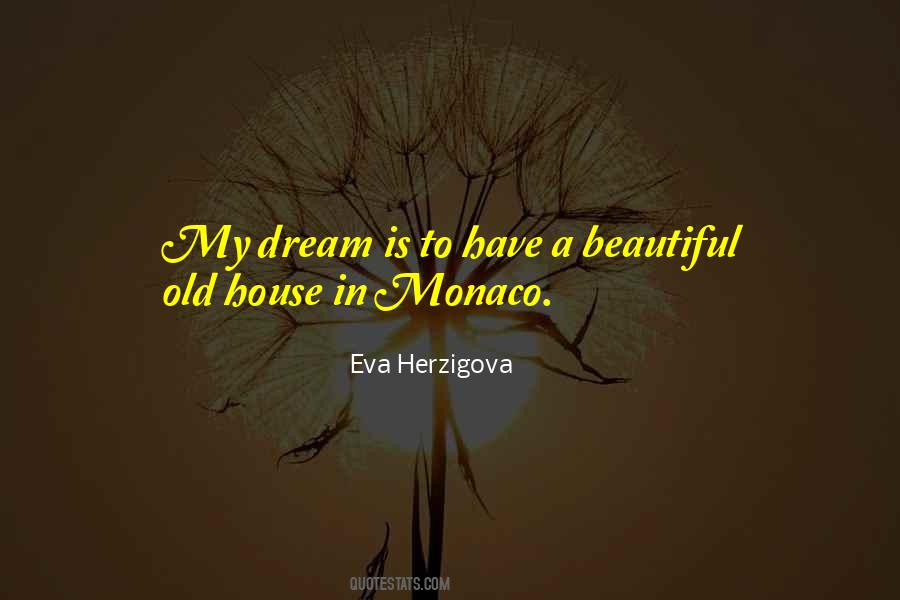 A Beautiful Dream Quotes #55716