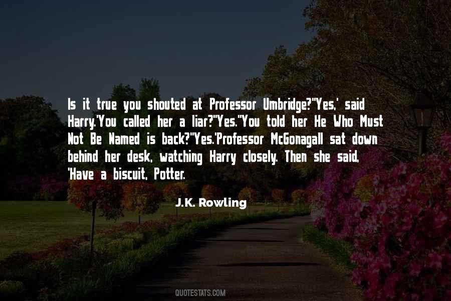 Harry Potter He Who Must Not Be Named Quotes #1771656