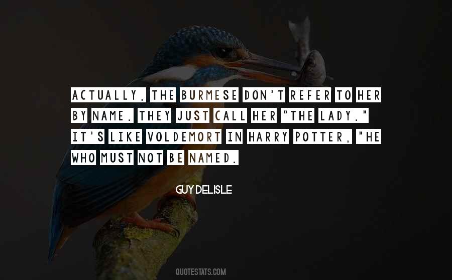 Harry Potter He Who Must Not Be Named Quotes #700904