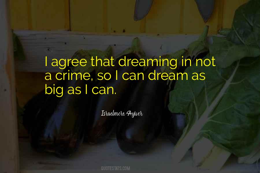 Have A Big Dream Quotes #561990