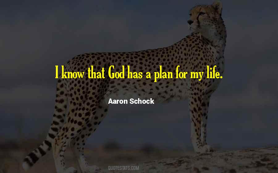 God Has A Plan For My Life Quotes #361817