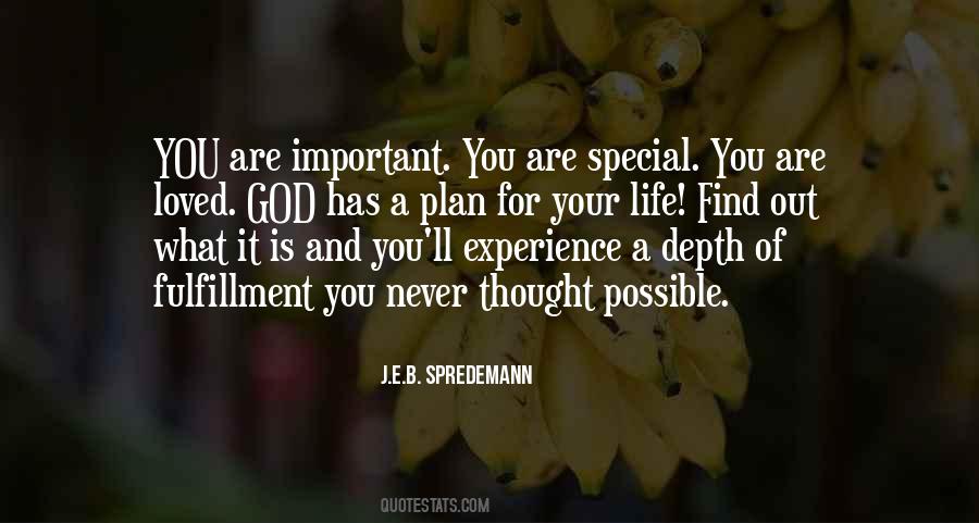 God Has A Special Plan Quotes #1209489