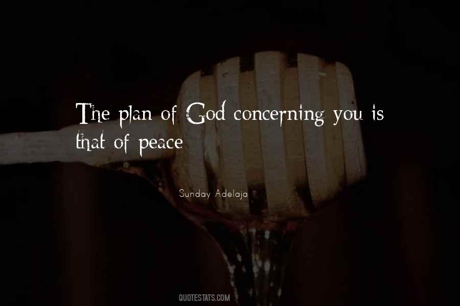 God Has His Own Plan Quotes #73502