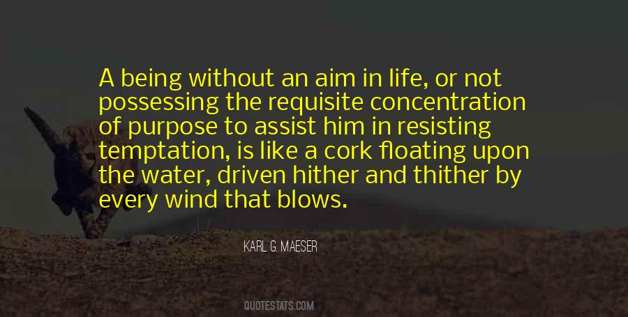 A Life Without Purpose Quotes #764882