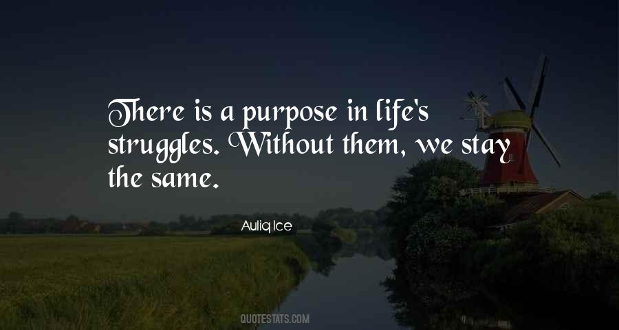 A Life Without Purpose Quotes #913415
