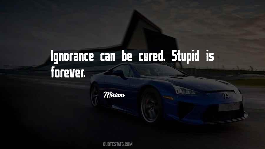Stupid Is Forever Quotes #1062888