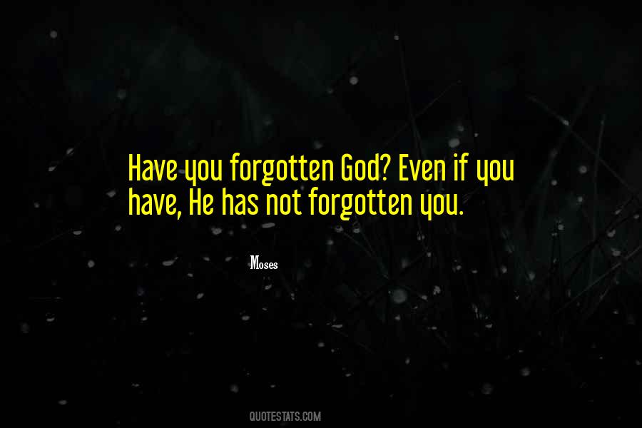 God Has Not Forgotten You Quotes #471211