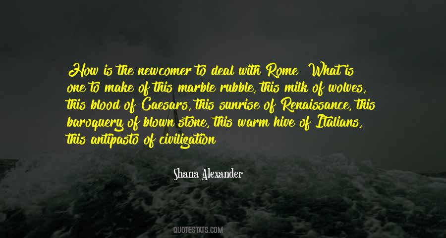 Blood From A Stone Quotes #249168