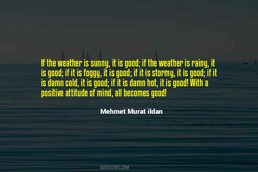Cold But Sunny Quotes #152974