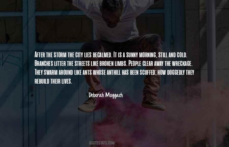 Cold But Sunny Quotes #326571