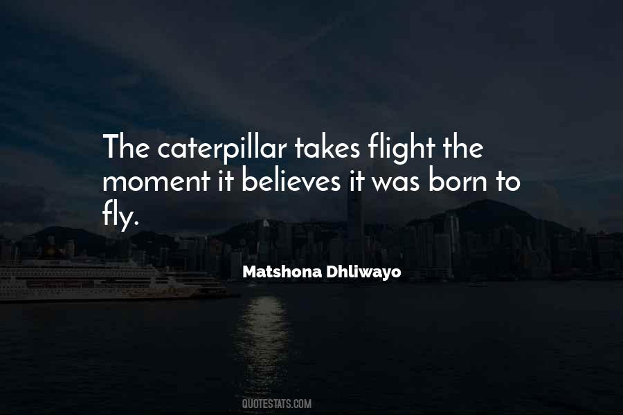 When The Caterpillar Quotes #23612