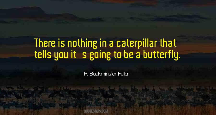 When The Caterpillar Quotes #994851