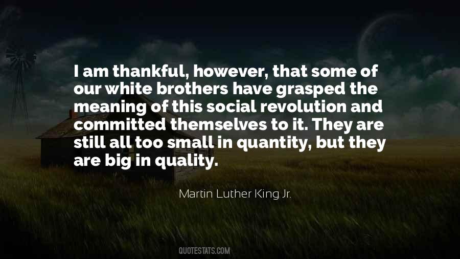 Some Brother Quotes #180933