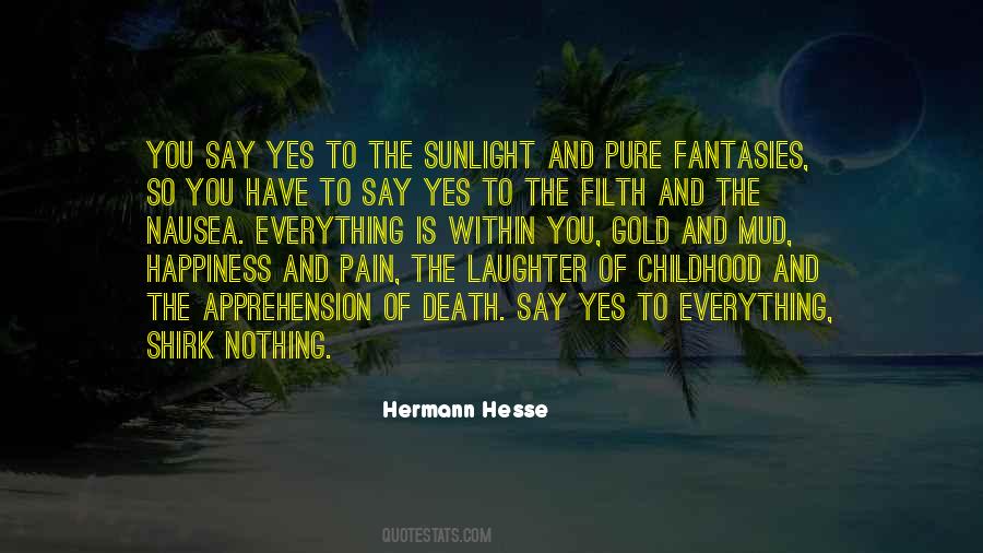 Happiness Pain Quotes #434192