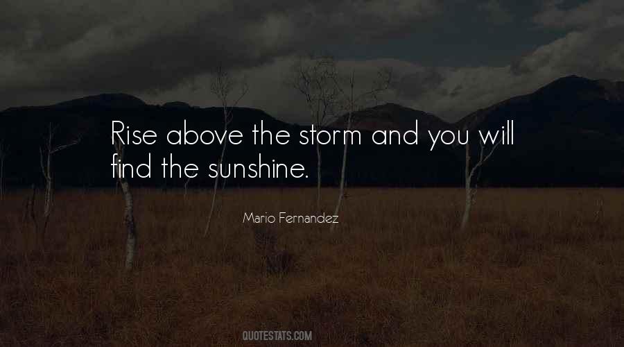 You Will Rise Above Quotes #1679904