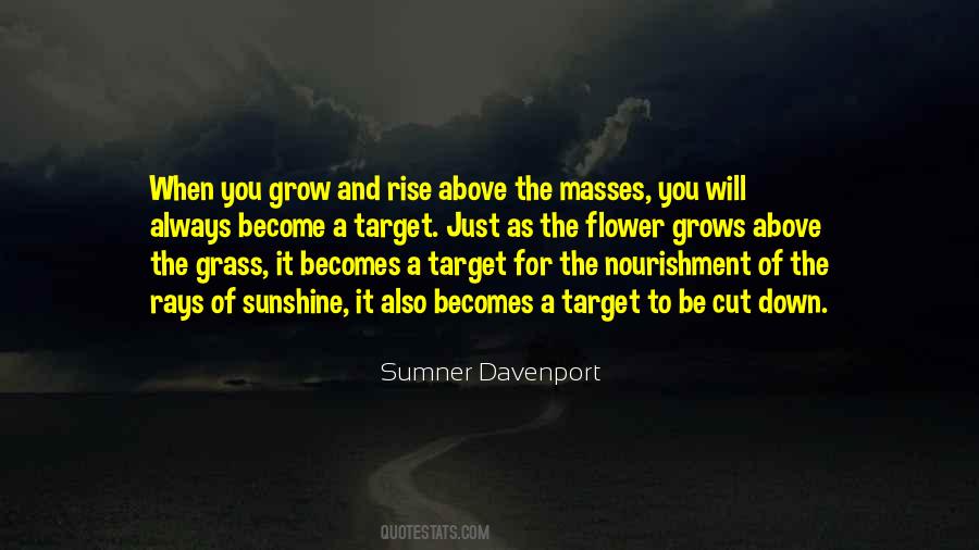 You Will Rise Above Quotes #231819