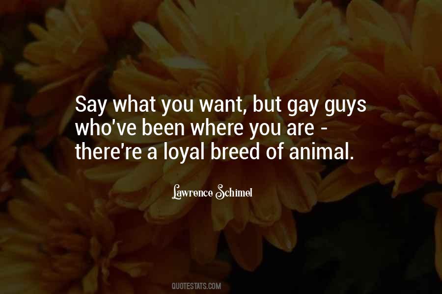 Quotes About Gay Guys #453438