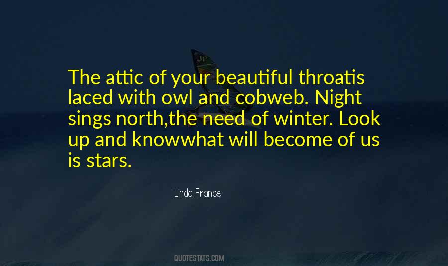 Winter Look Quotes #1410182