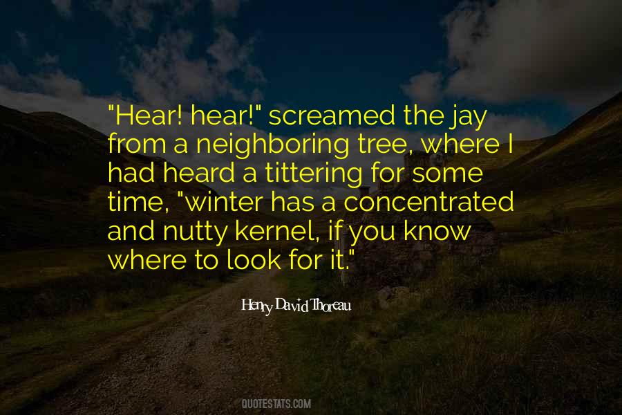 Winter Look Quotes #1533266