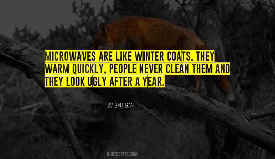 Winter Look Quotes #807422