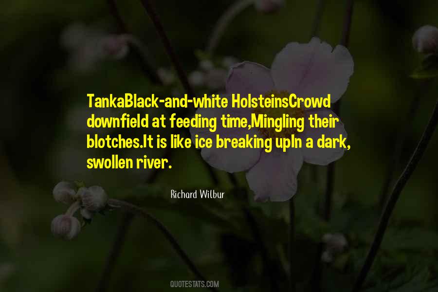 Dark Black Quotes #242074