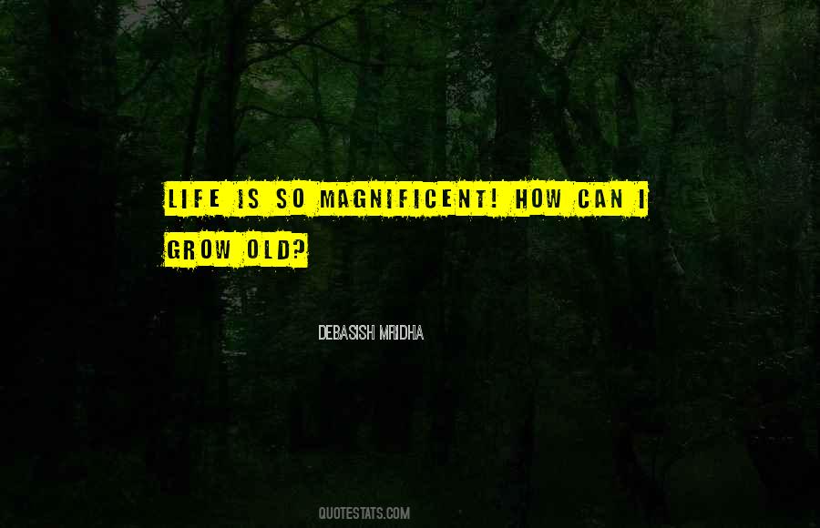 They Shall Not Grow Old Quotes #383953