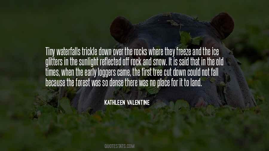 Forest Snow Quotes #1265037