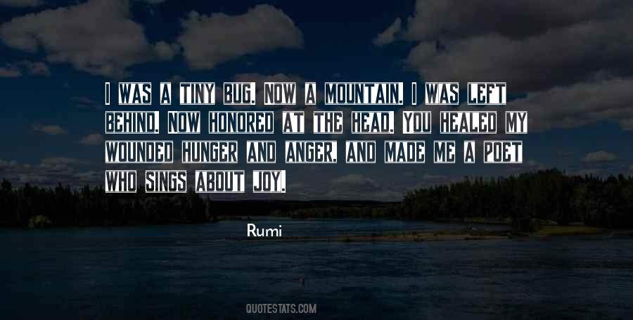 About Anger Quotes #657171