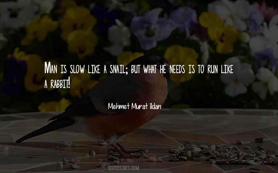 Mature Guy Quotes #229160