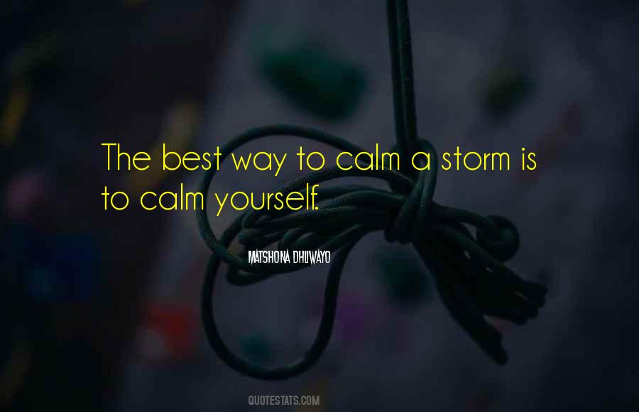 Best Storm Quotes #1121086