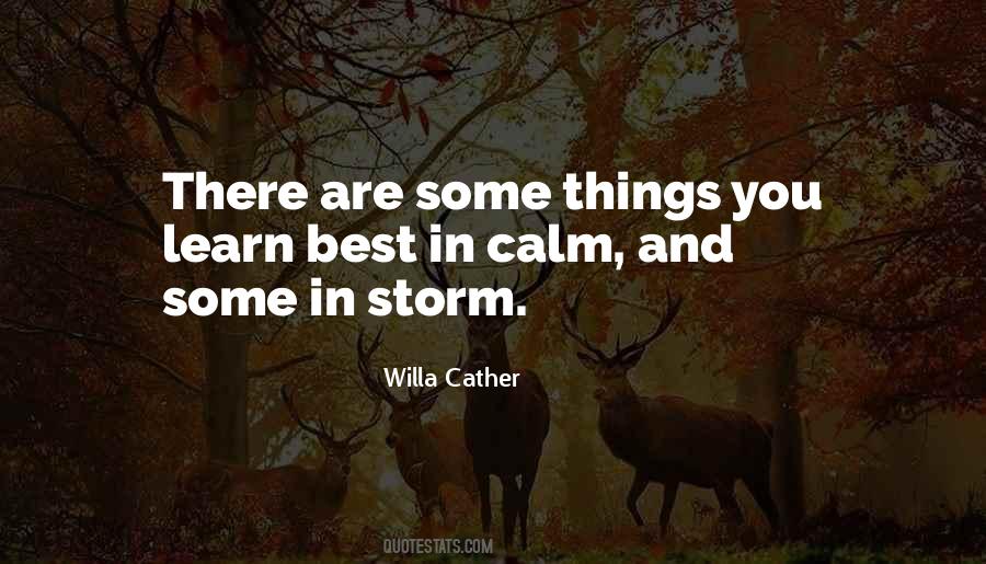 Best Storm Quotes #1195693