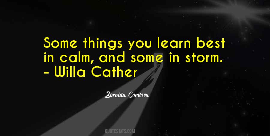 Best Storm Quotes #248890