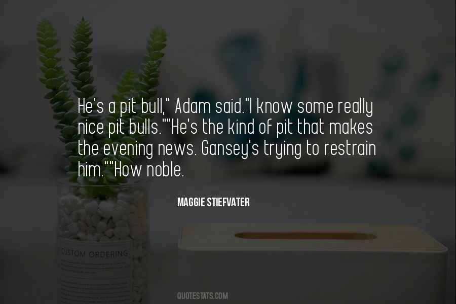 Some Evening Quotes #1605678