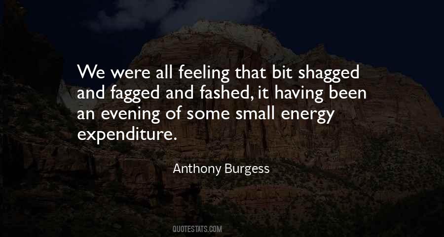 Some Evening Quotes #1778054