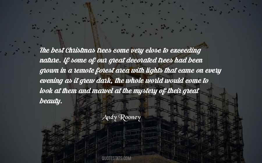 Some Evening Quotes #226992