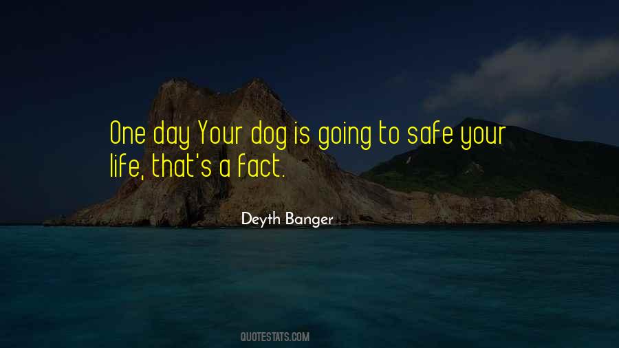 Dog Is Life Quotes #1027029