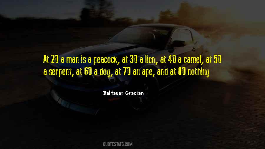 Dog Is Life Quotes #1526065
