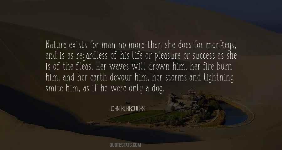 Dog Is Life Quotes #352978