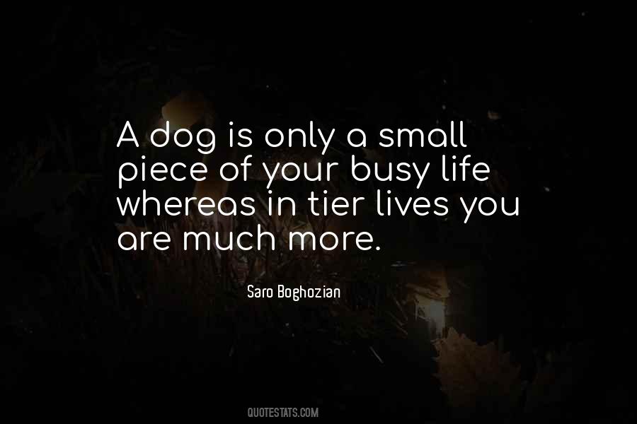Dog Is Life Quotes #890122