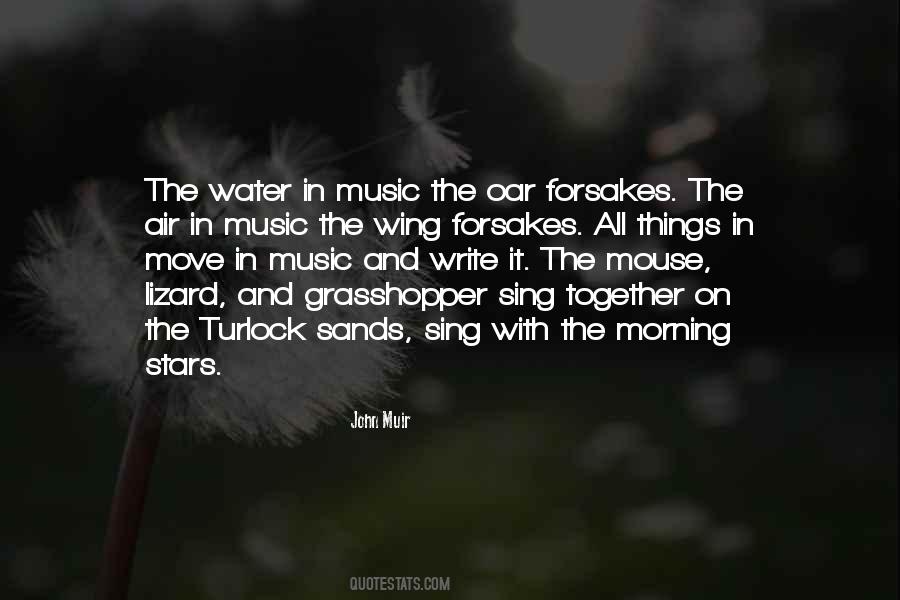 Music In The Air Quotes #225511