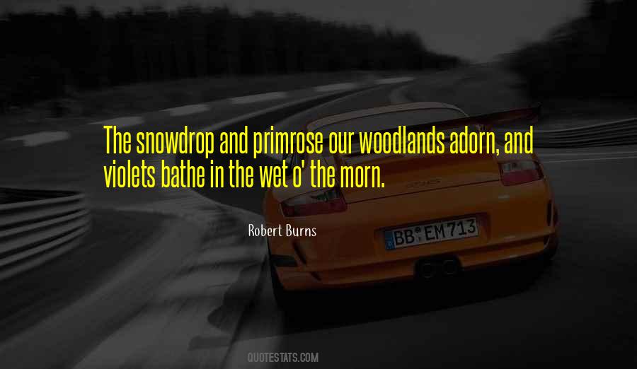 Adorn It Quotes #3191