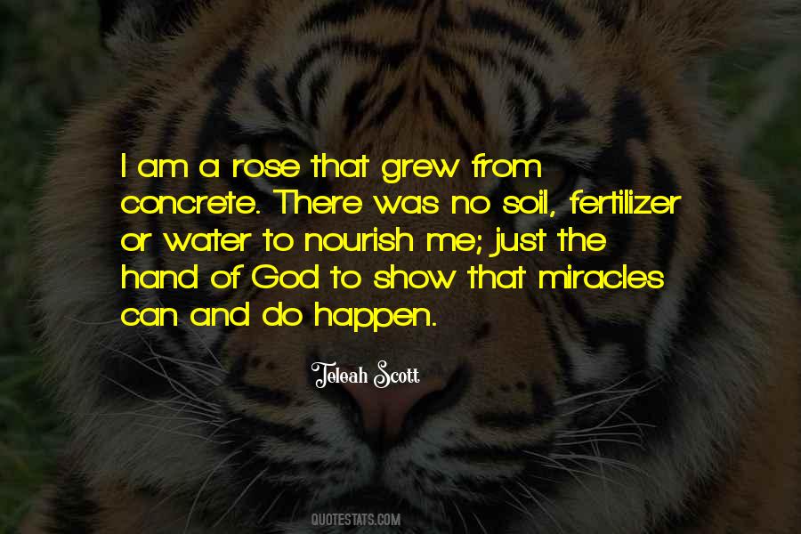 God Of Miracles Quotes #1269626