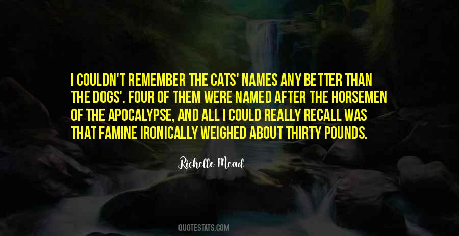 About Cats Quotes #127138